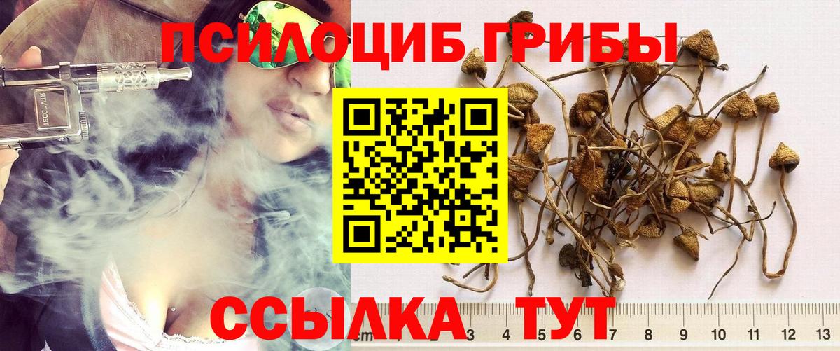 Дербент  цена наркотик  Вход с VPN  Галлюциногенные грибы Psilocybine cubensis 